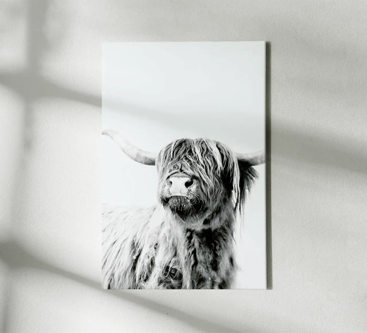 Highland Cattle Frida 2 tela con Cornice a cassetta da Monika Strigel