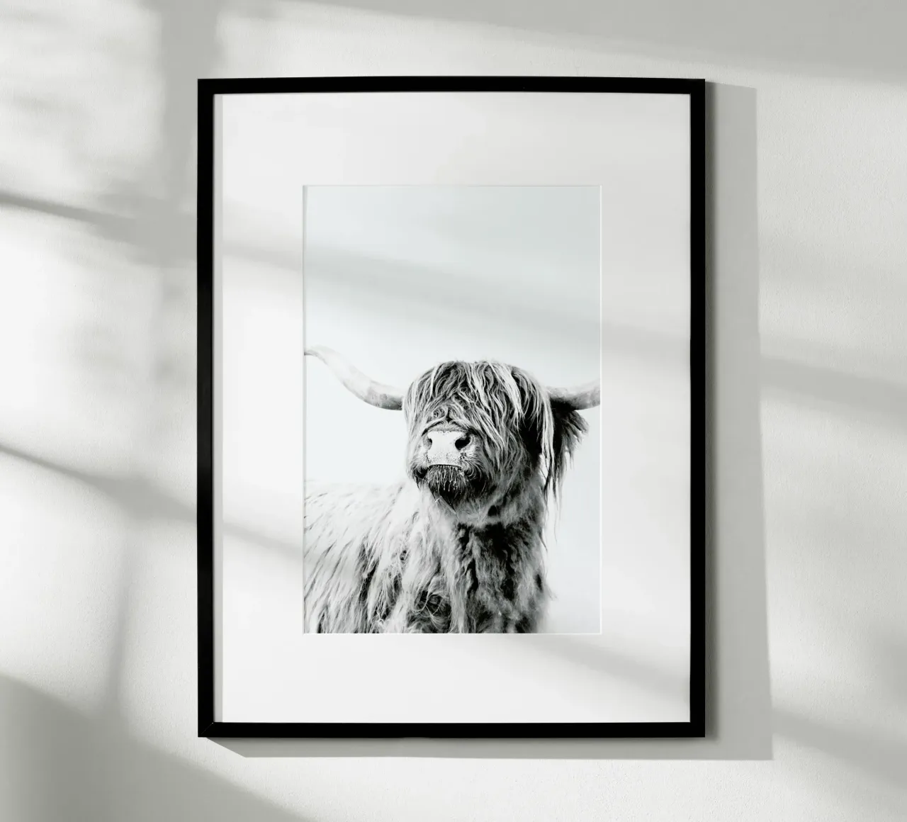 Highland Cattle Frida 2 poster con telaio in plastica da Monika Strigel