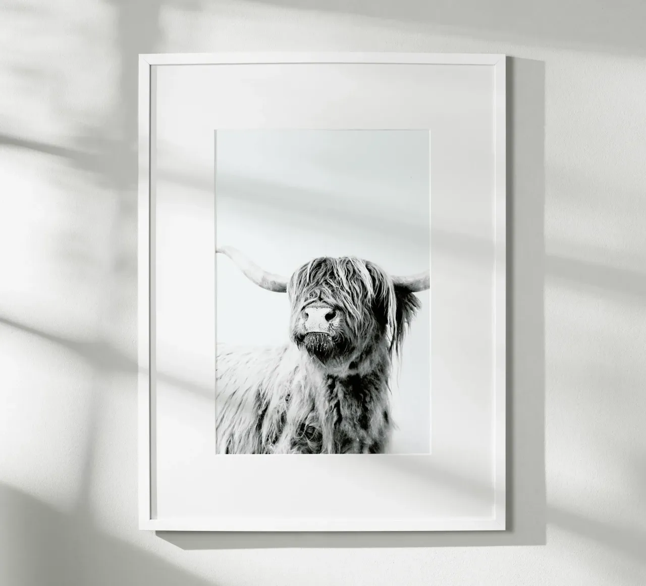 Highland Cattle Frida 2 poster con telaio in plastica da Monika Strigel