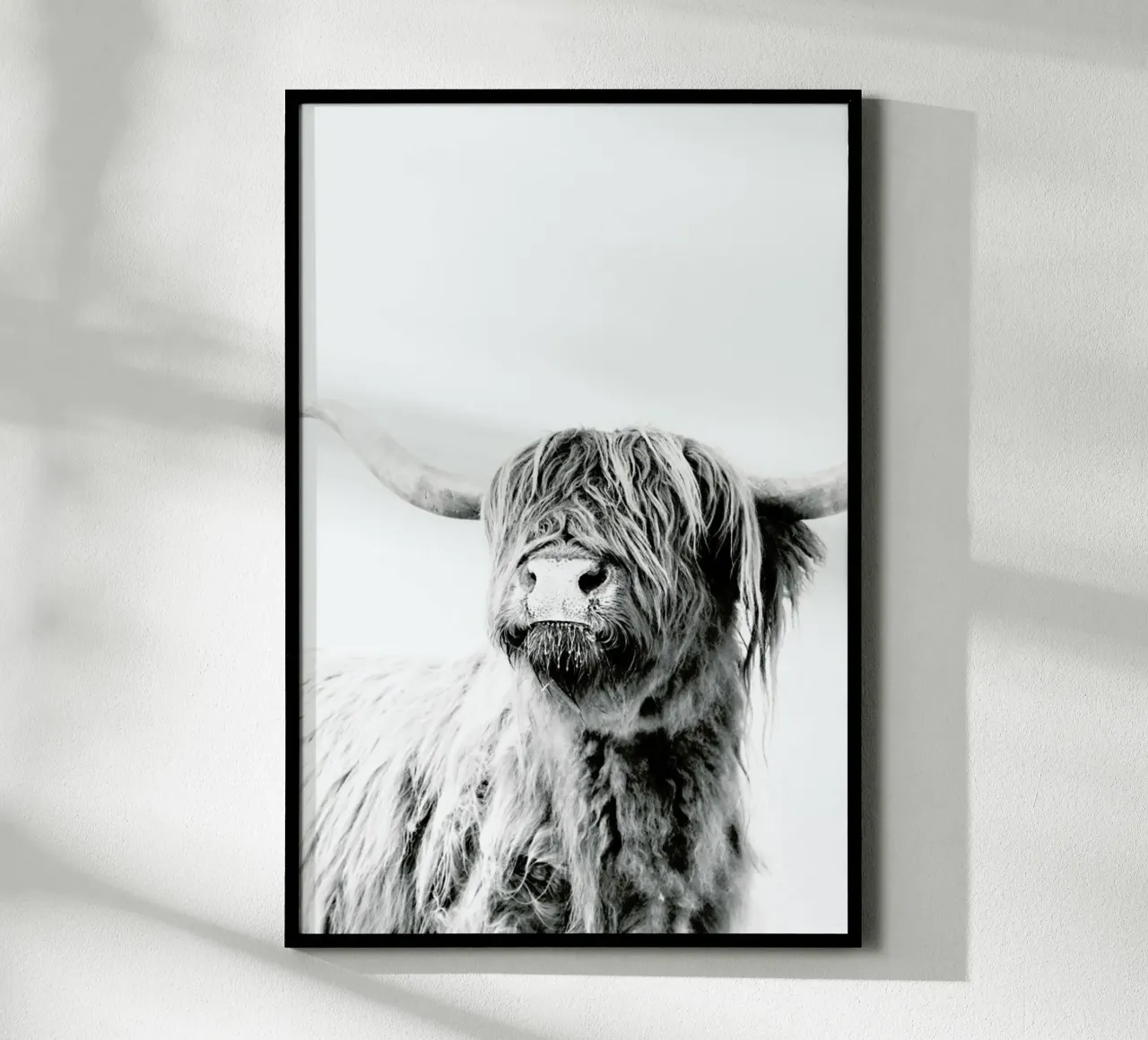 Highland Cattle Frida 2 poster con telaio in plastica da Monika Strigel