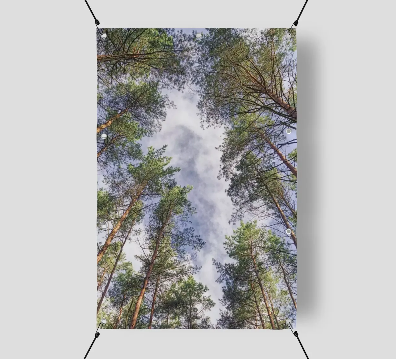 A Walk In The Forest telo in pvc da Nur Mut