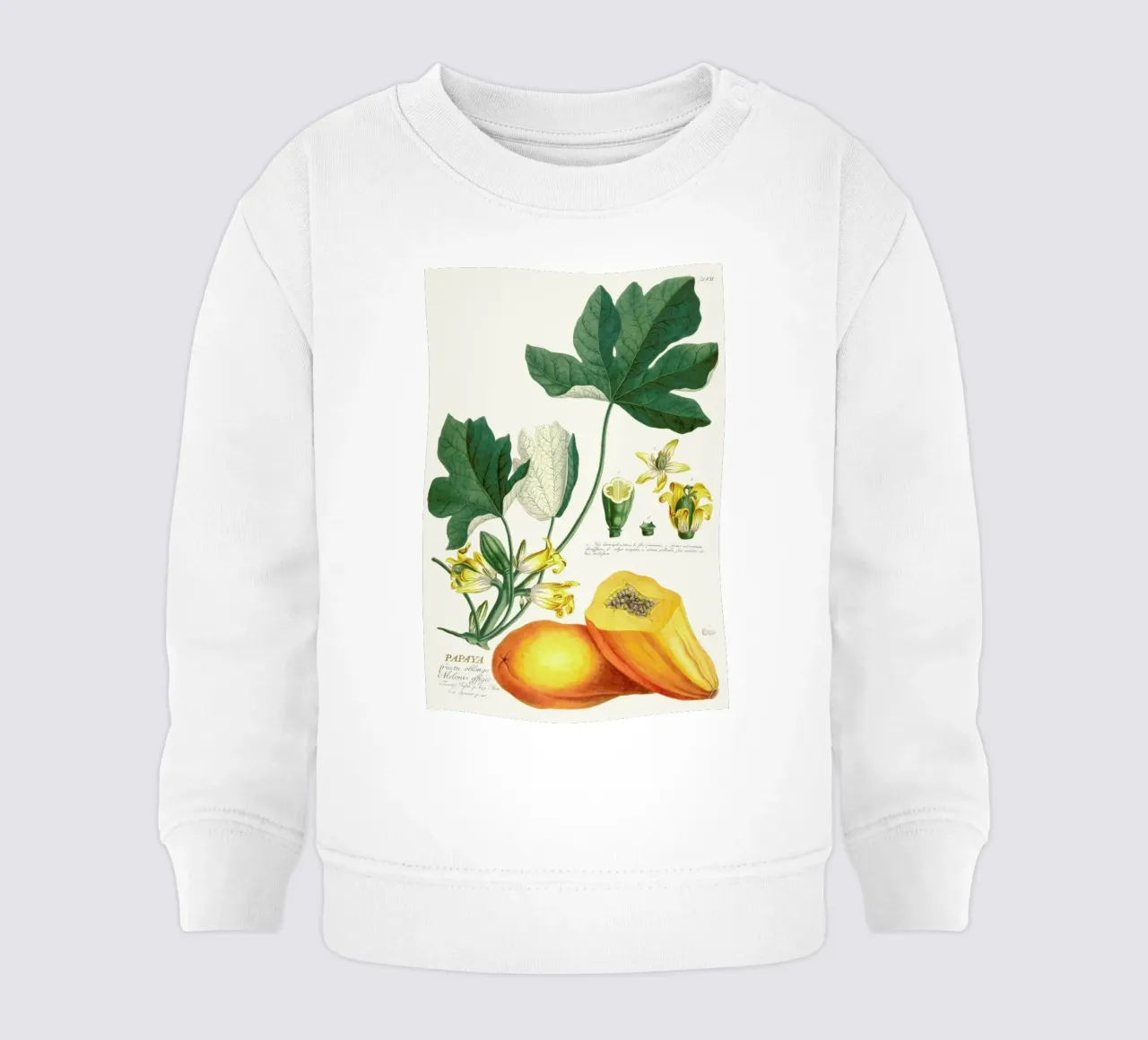 Papaya felpa neonato da Astër