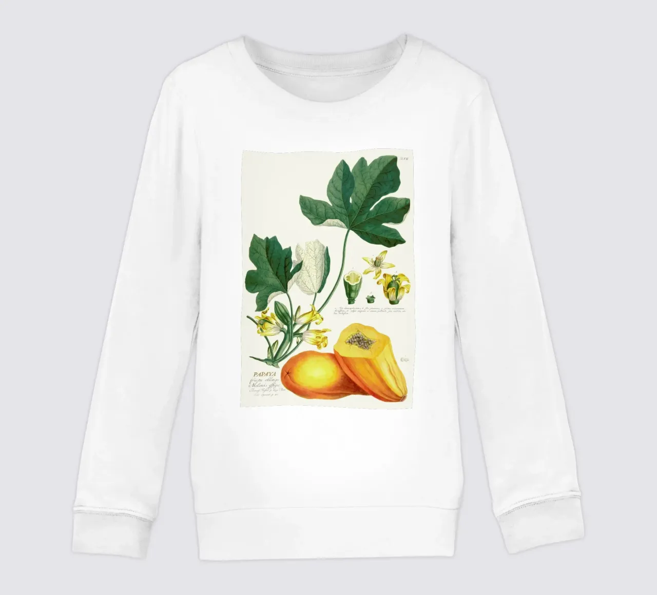 Papaya felpa bambino da Astër