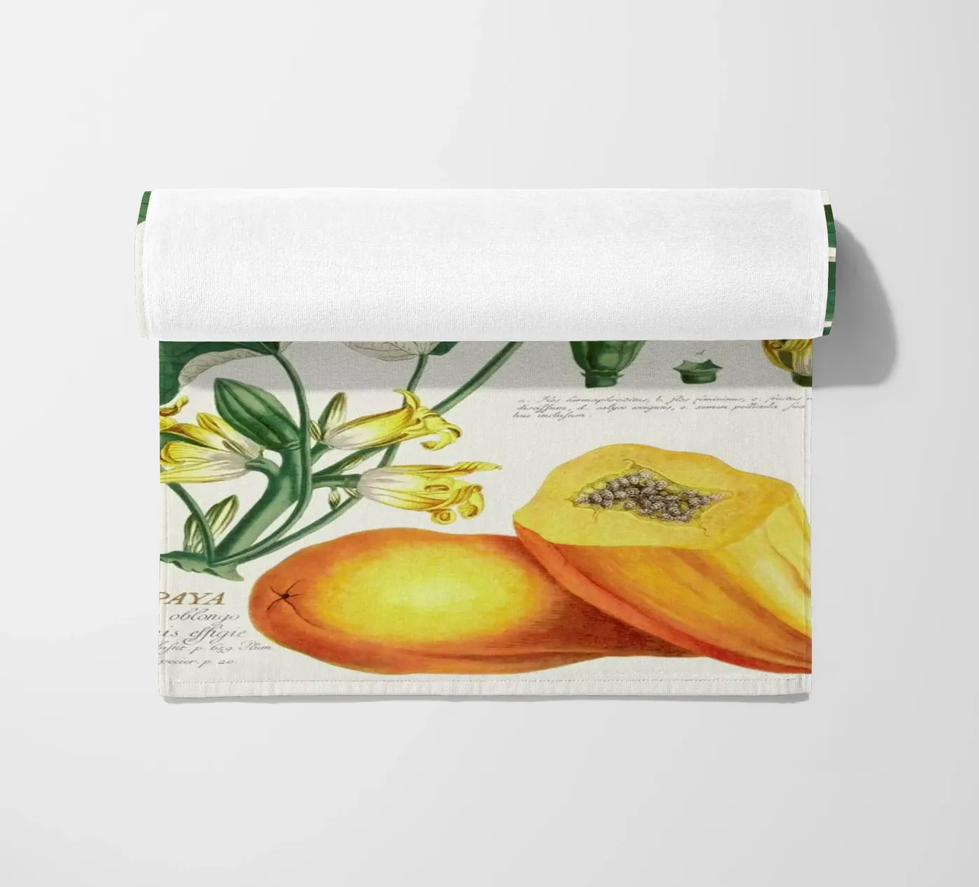 Papaya telo mare da Astër