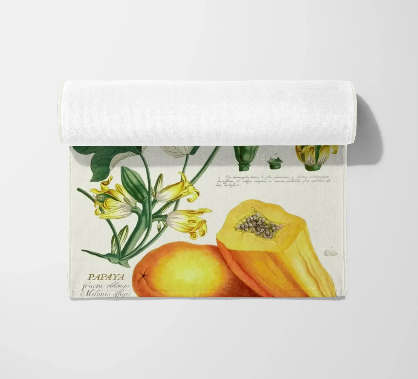 Papaya telo mare da Astër