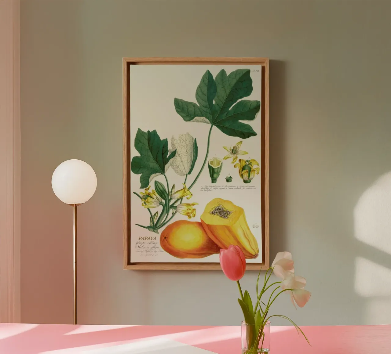Papaya canvas met Baklijst van Astër