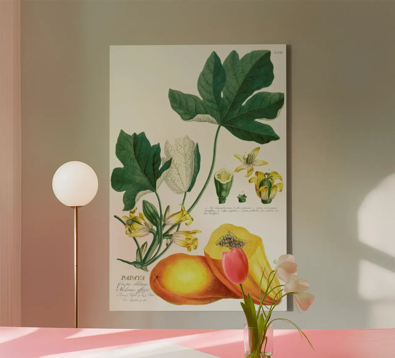 Papaya canvas met Baklijst van Astër