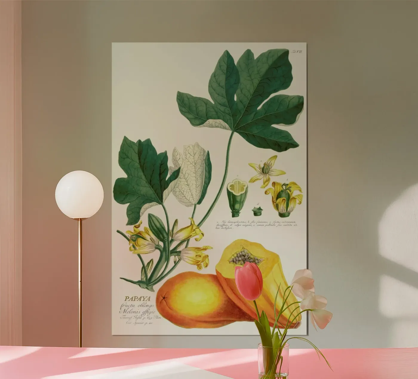 Papaya poster by Astër