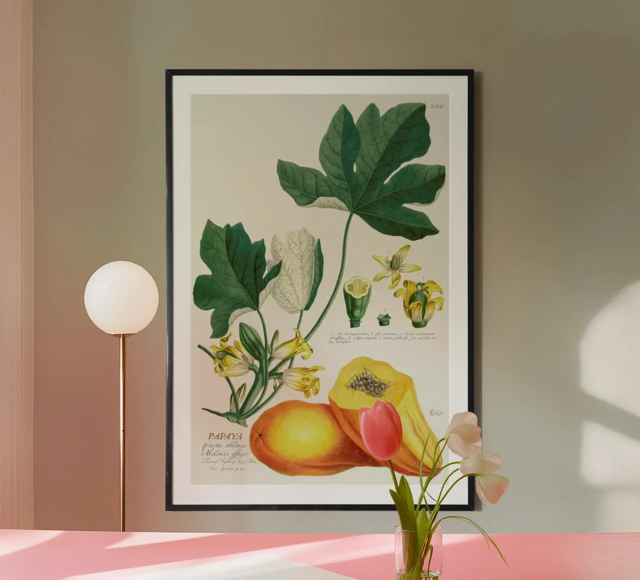 Papaya poster con telaio in plastica da Astër