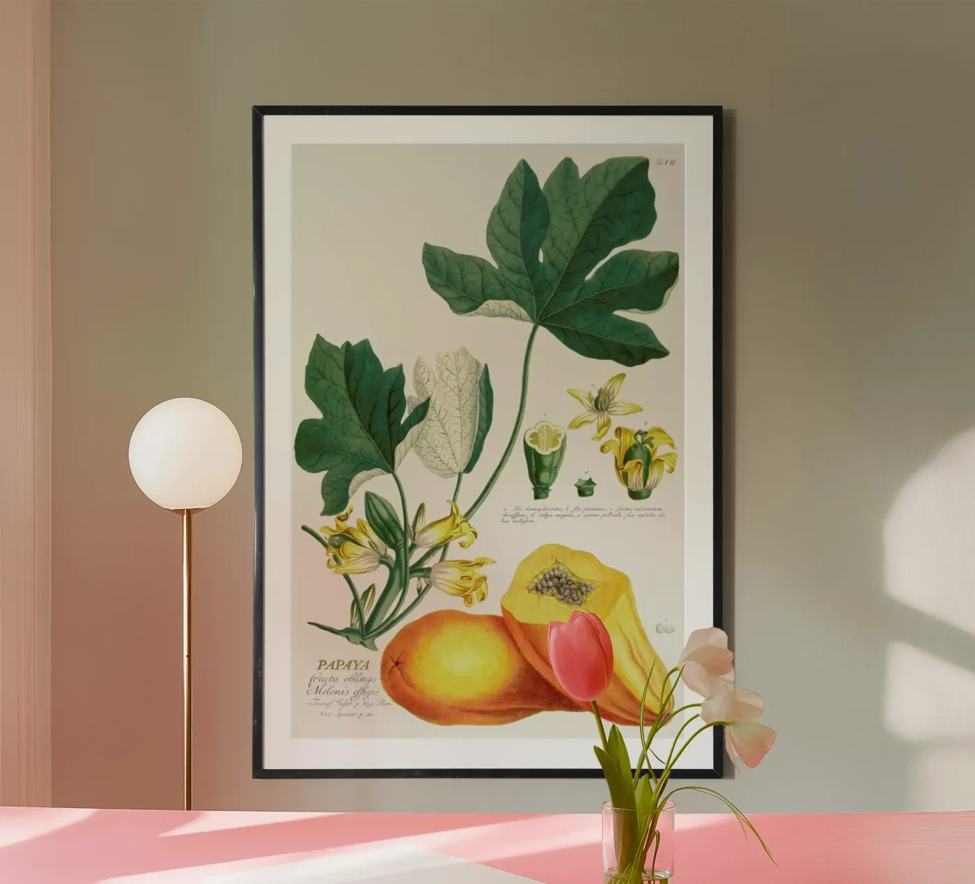 Papaya poster by Astër