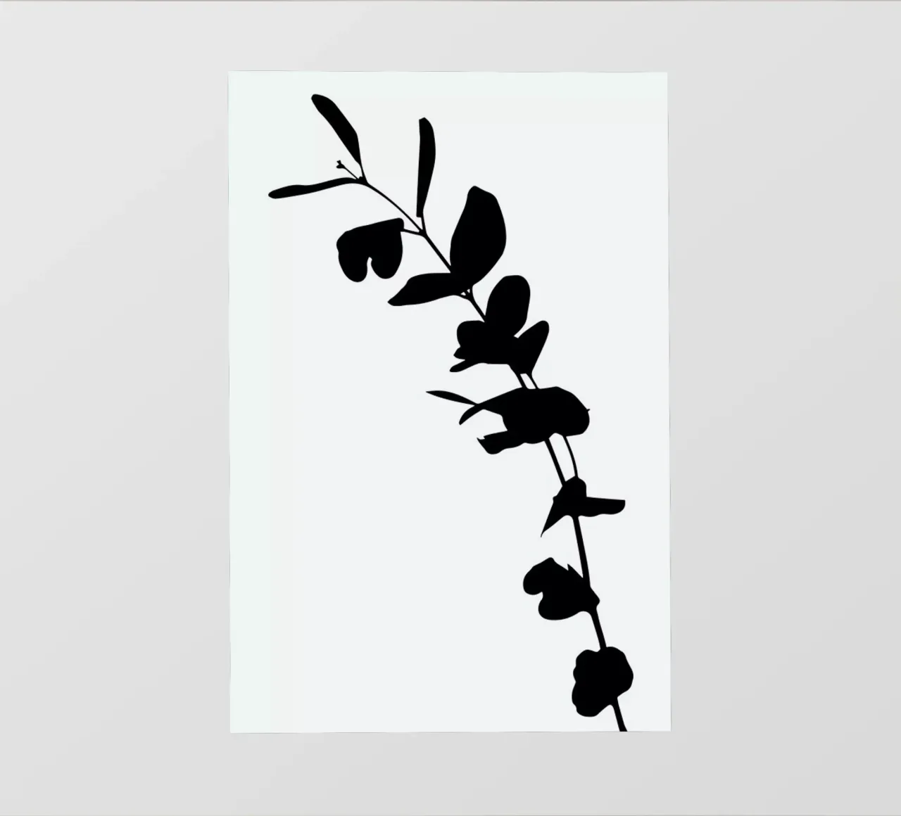 Eucalyptus 1 pellicola backlit da Oh Darling