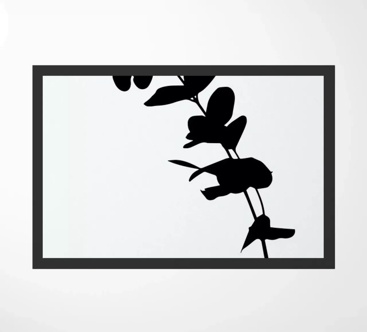 Eucalyptus 1 zerbino da Oh Darling