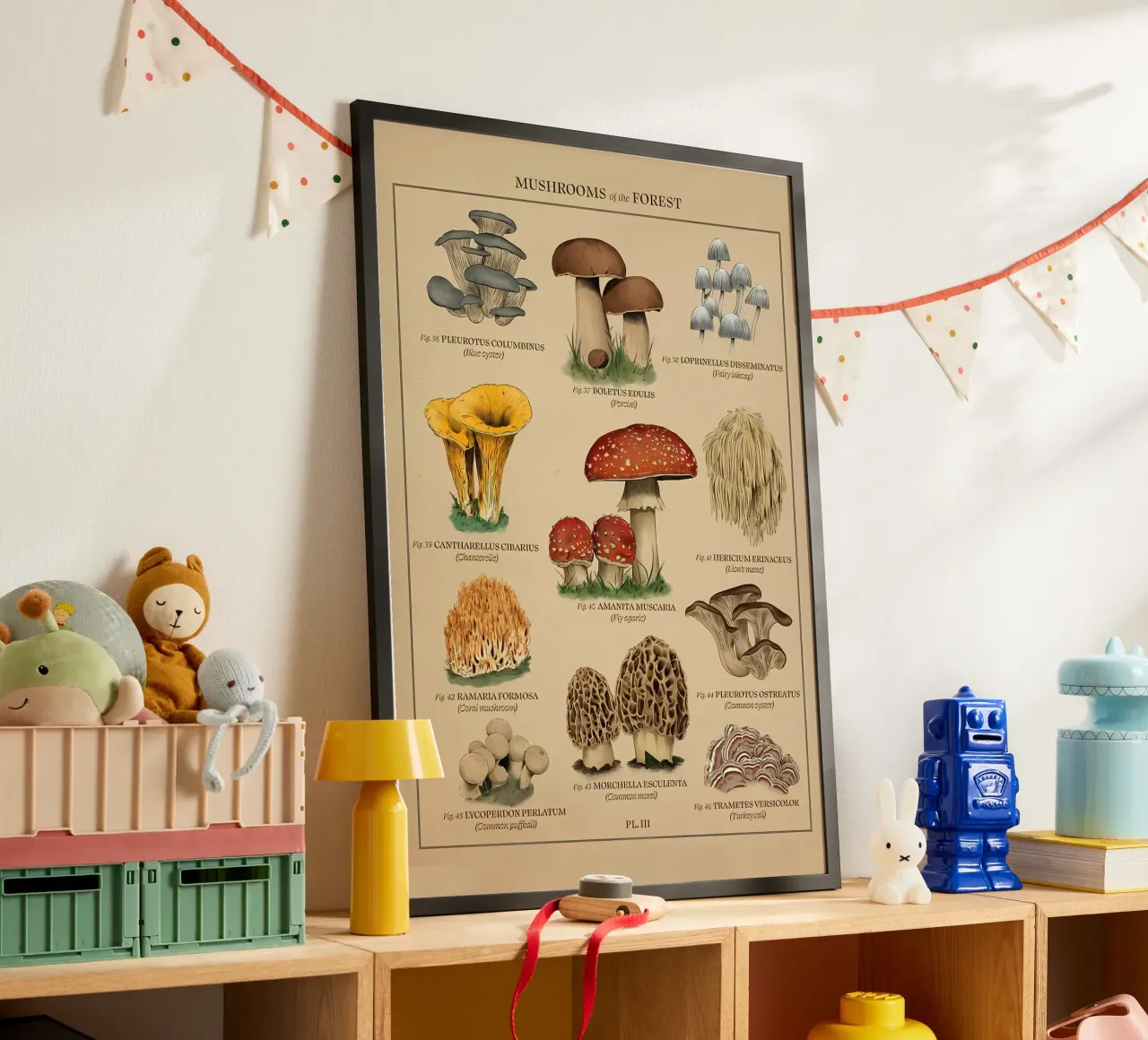 Fungo della foresta carta hahnemühle da diedrich
