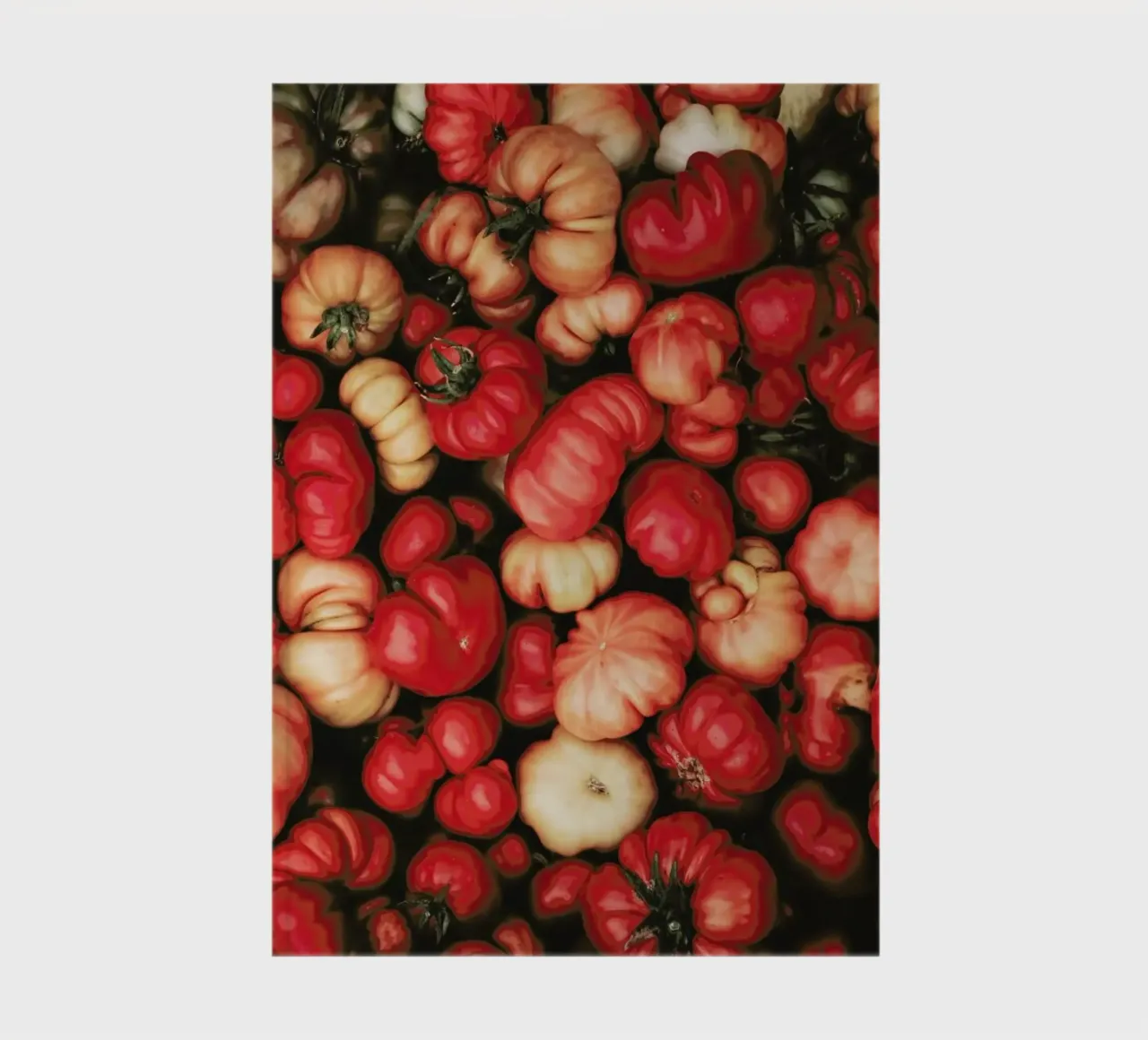 Tomato Rouge notebook by Ingrid Beddoes