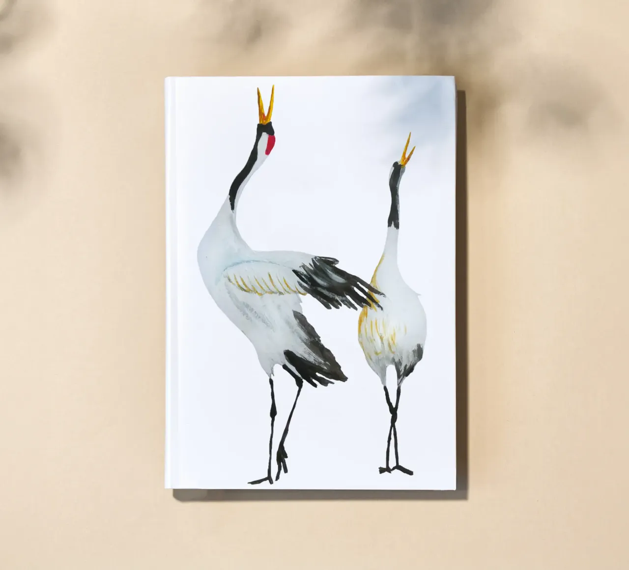 Japanese cranes diario da Femke Zwaan