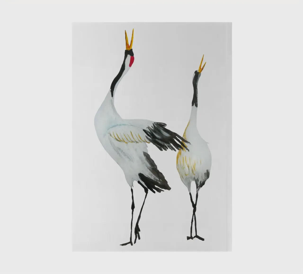 Japanese cranes diario da Femke Zwaan