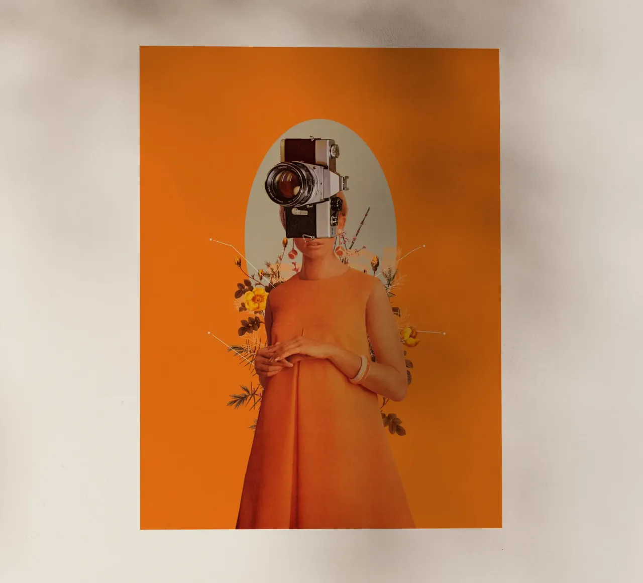 Camerahead pellicola backlit da Frank Moth