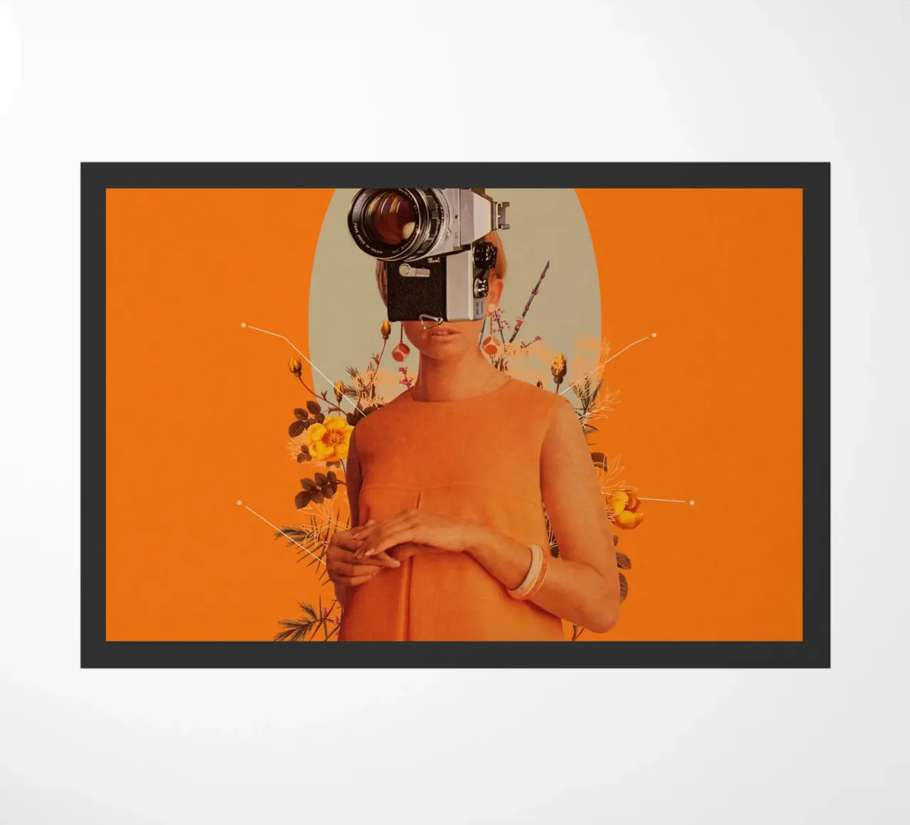 Camerahead zerbino da Frank Moth