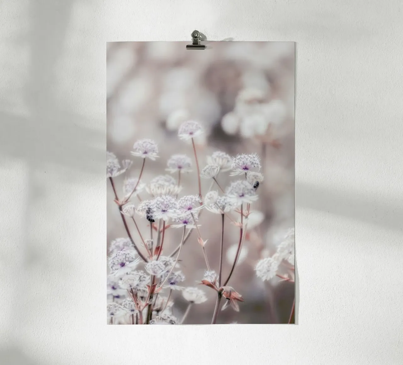 Wild Flower Pastel 04 poster con telaio in alluminio da Monika Strigel