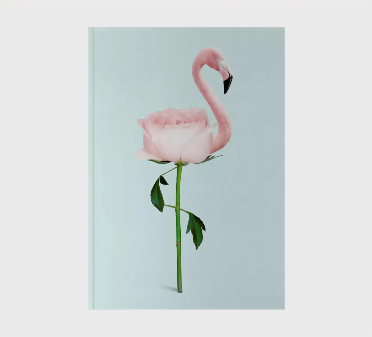 Flamingo Flower notebook by Jonas Loose