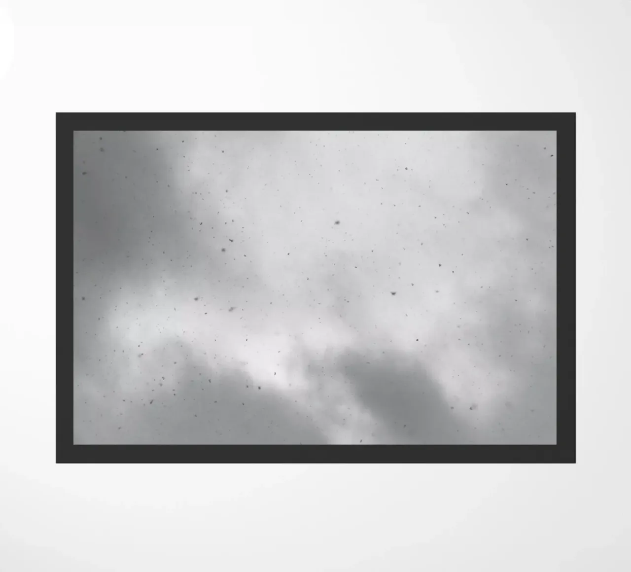 Snowfall zerbino da Nur Mut