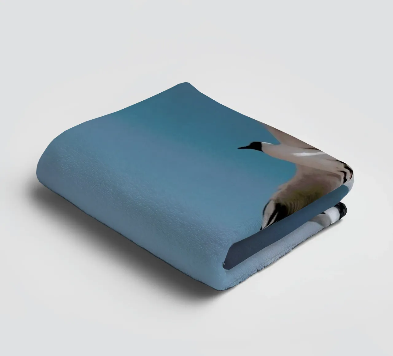 Seagulls II towel by Sebastian Hilgetag