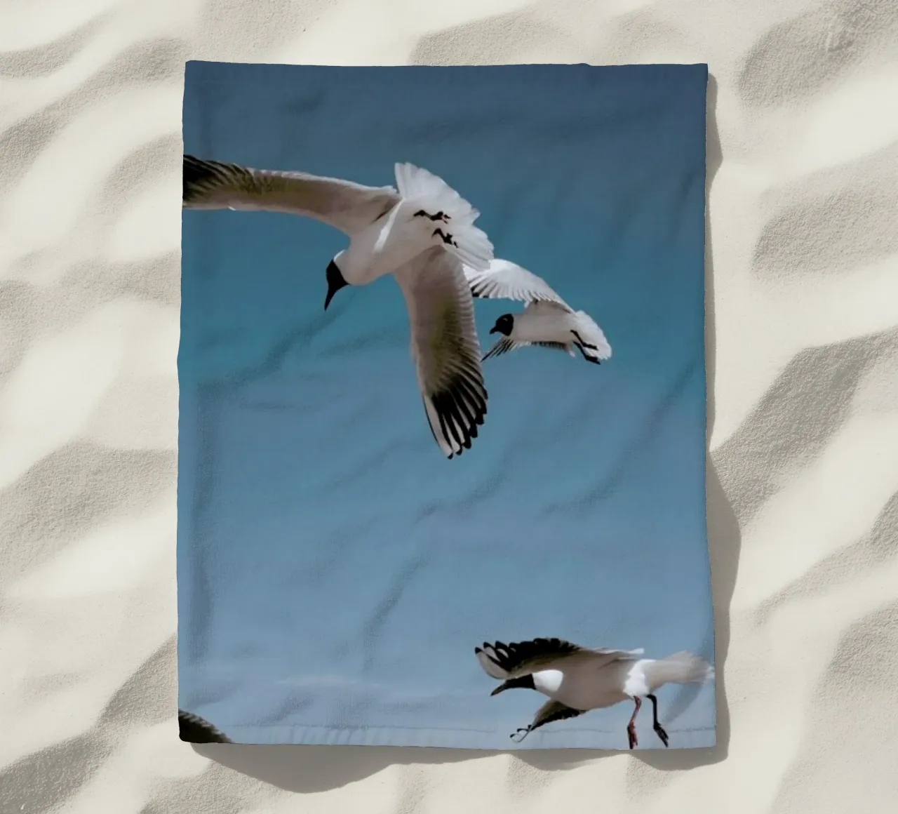 Seagulls II telo mare da Sebastian Hilgetag