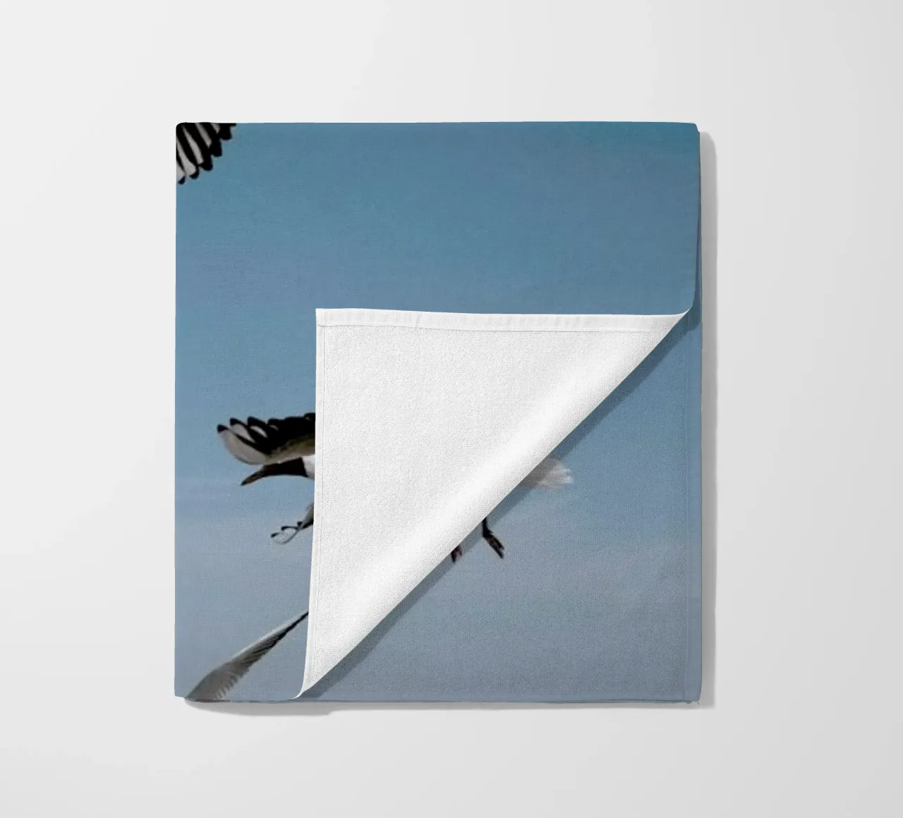 Seagulls II telo mare da Sebastian Hilgetag