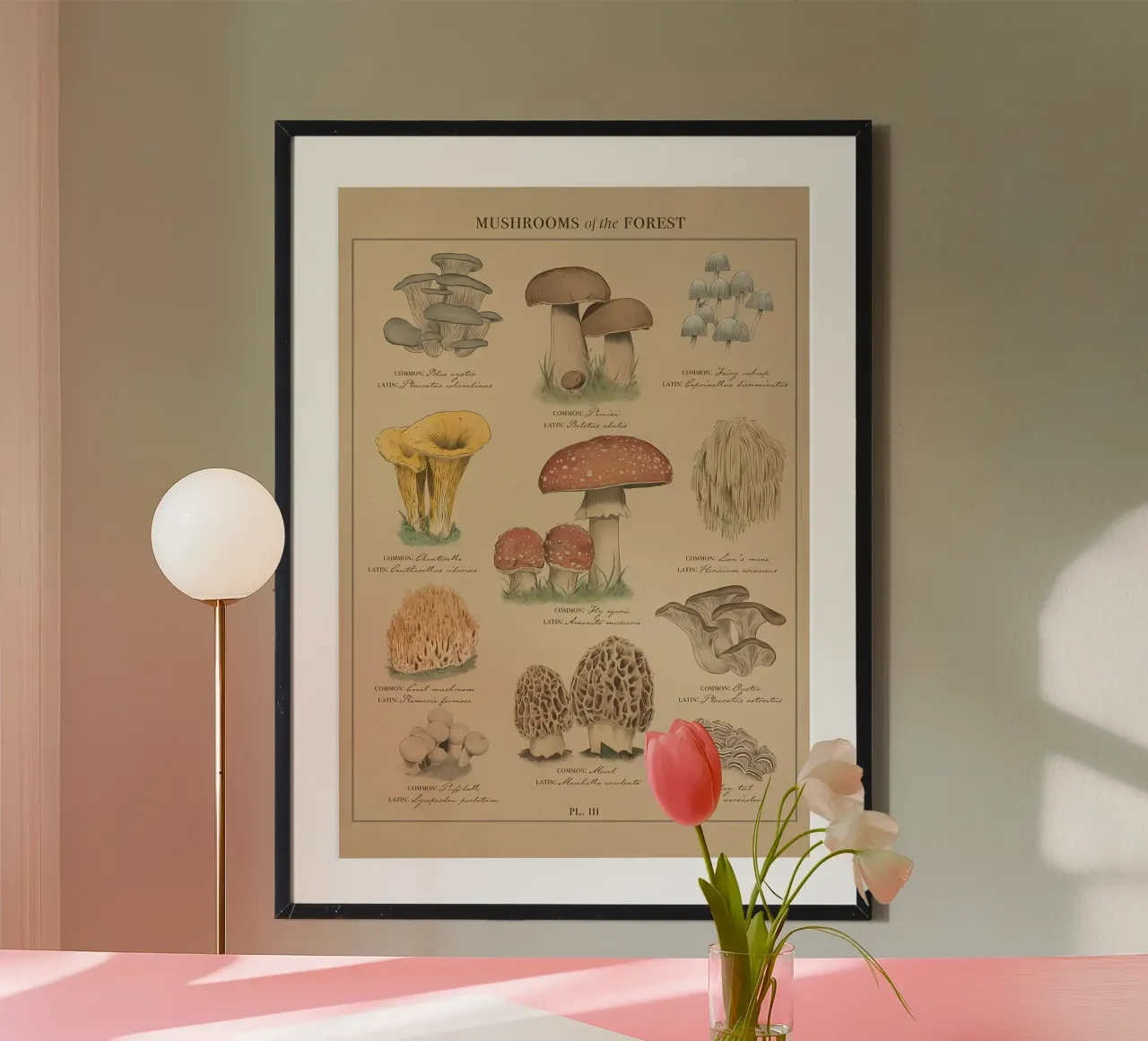 Mushrooms of the forest hahnemühle by diedrich