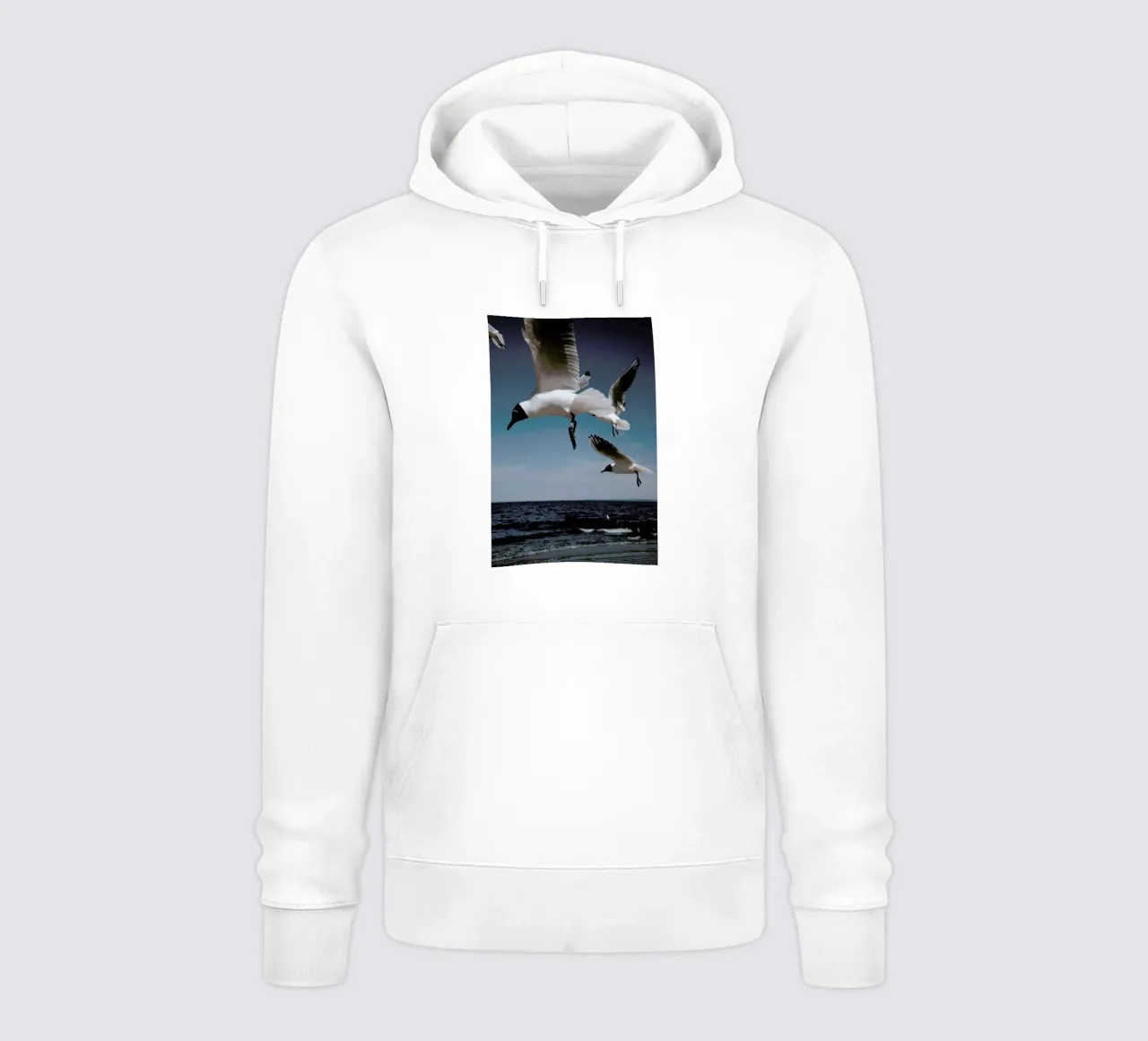 Seagulls VIII felpa con cappuccio da Sebastian Hilgetag