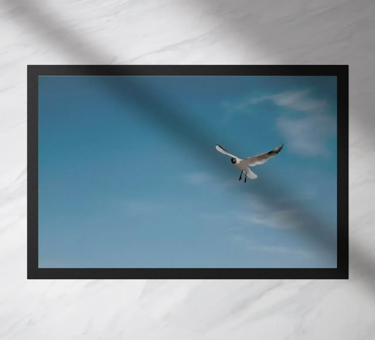 Seagulls IV zerbino da Sebastian Hilgetag