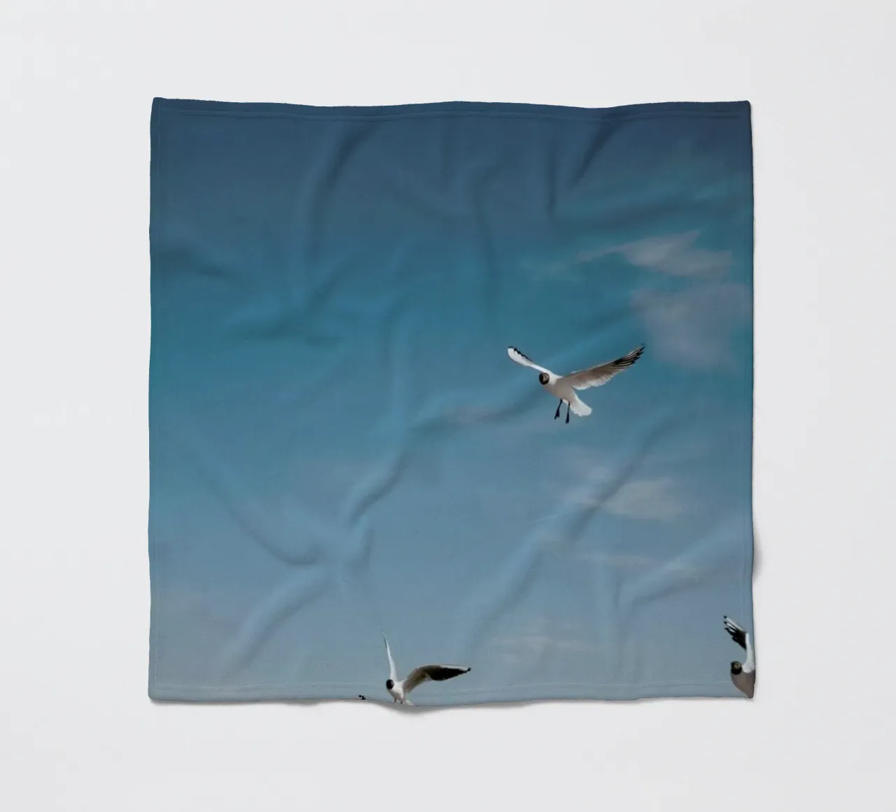 Seagulls IV coperta in pile da Sebastian Hilgetag