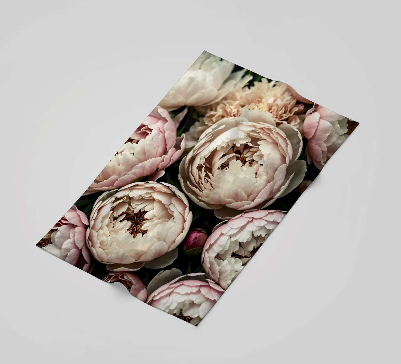 Peony Dreams in Light telo mare da BLICKPUNKT