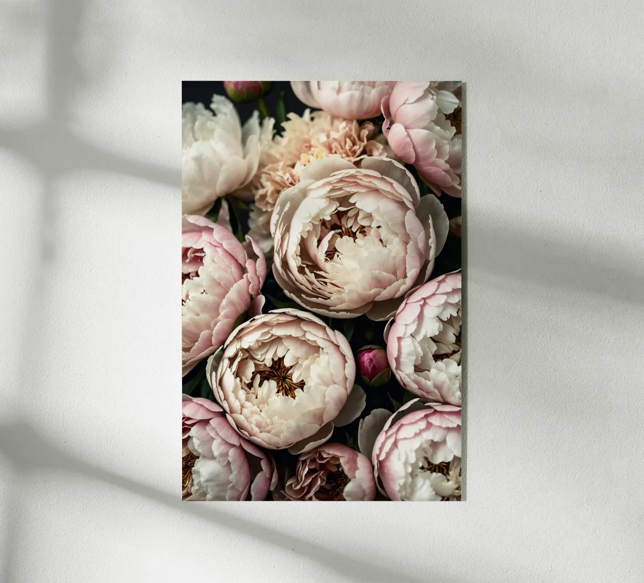 Peony Dreams in Light plexiglass da BLICKPUNKT