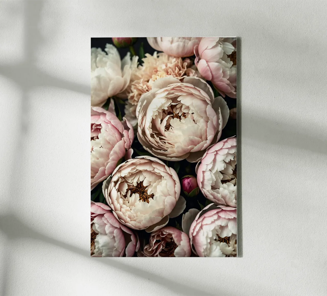 Peony Dreams in Light tela con Cornice a cassetta da BLICKPUNKT