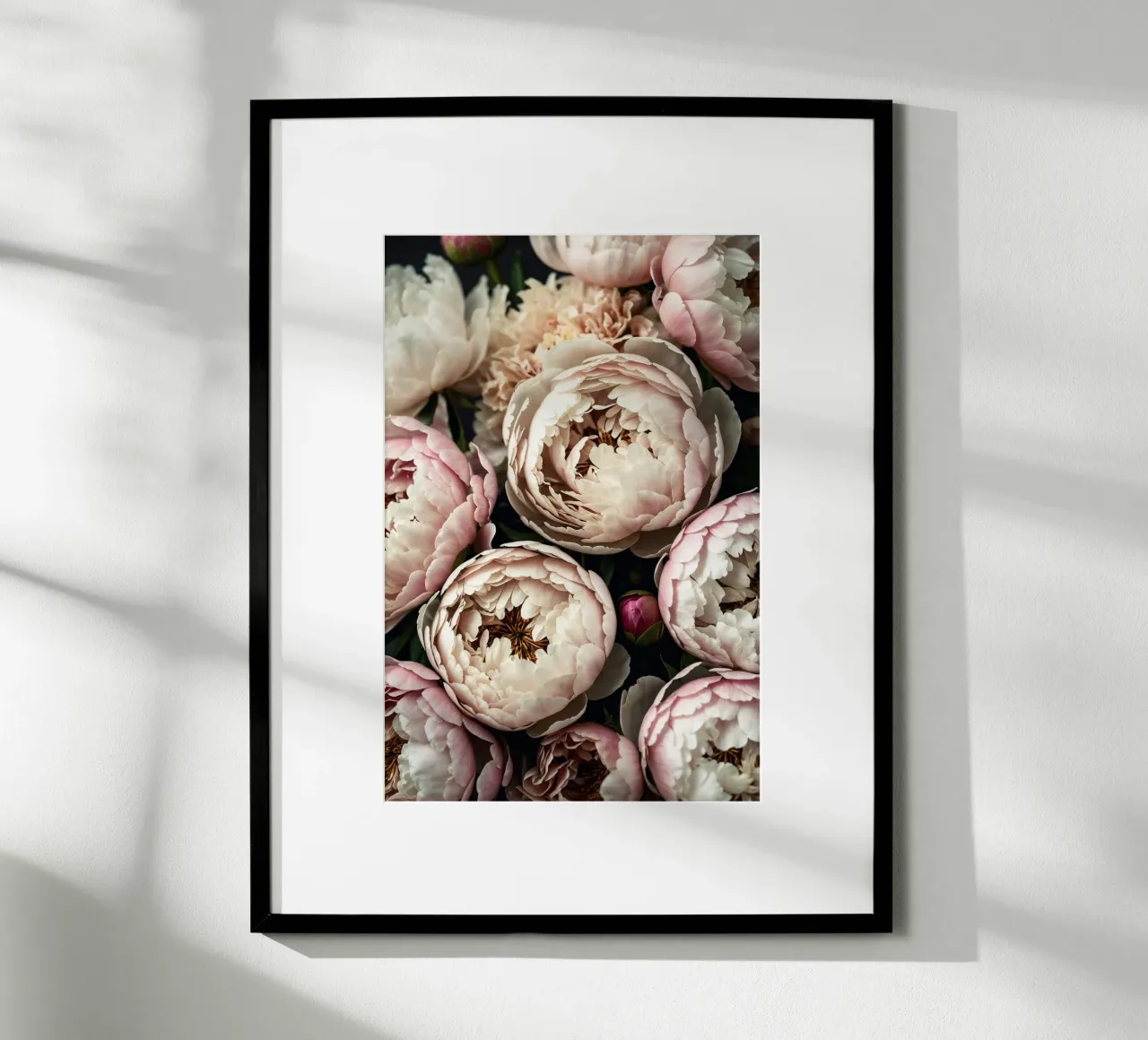 Peony Dreams in Light carta hahnemühle da BLICKPUNKT