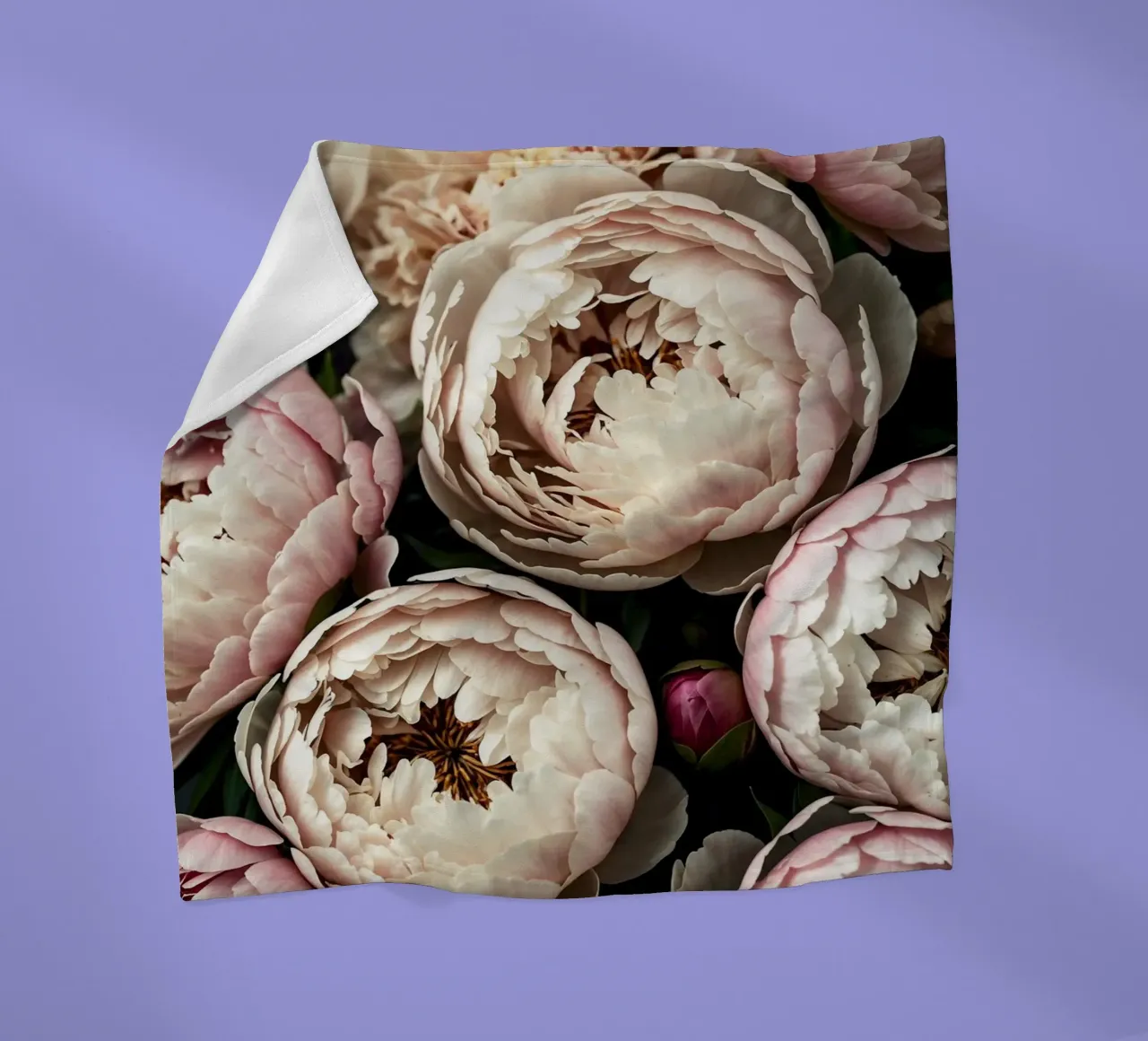 Peony Dreams in Light coperta in pile da BLICKPUNKT