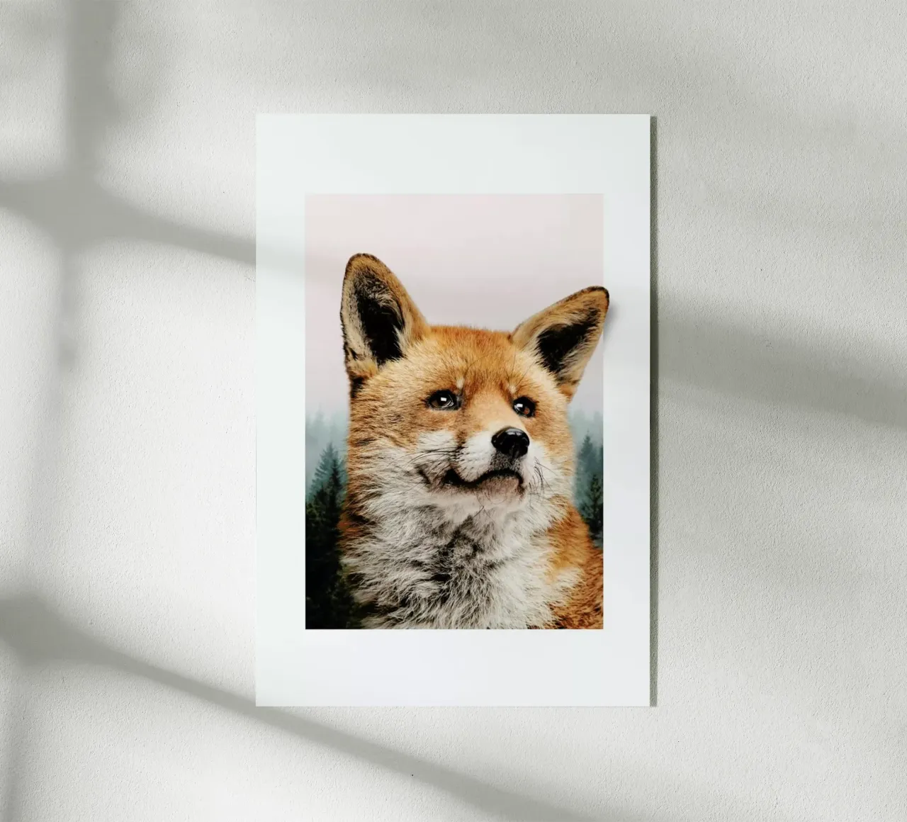 FOX plexiglass da JONAS LOOSE KIDS