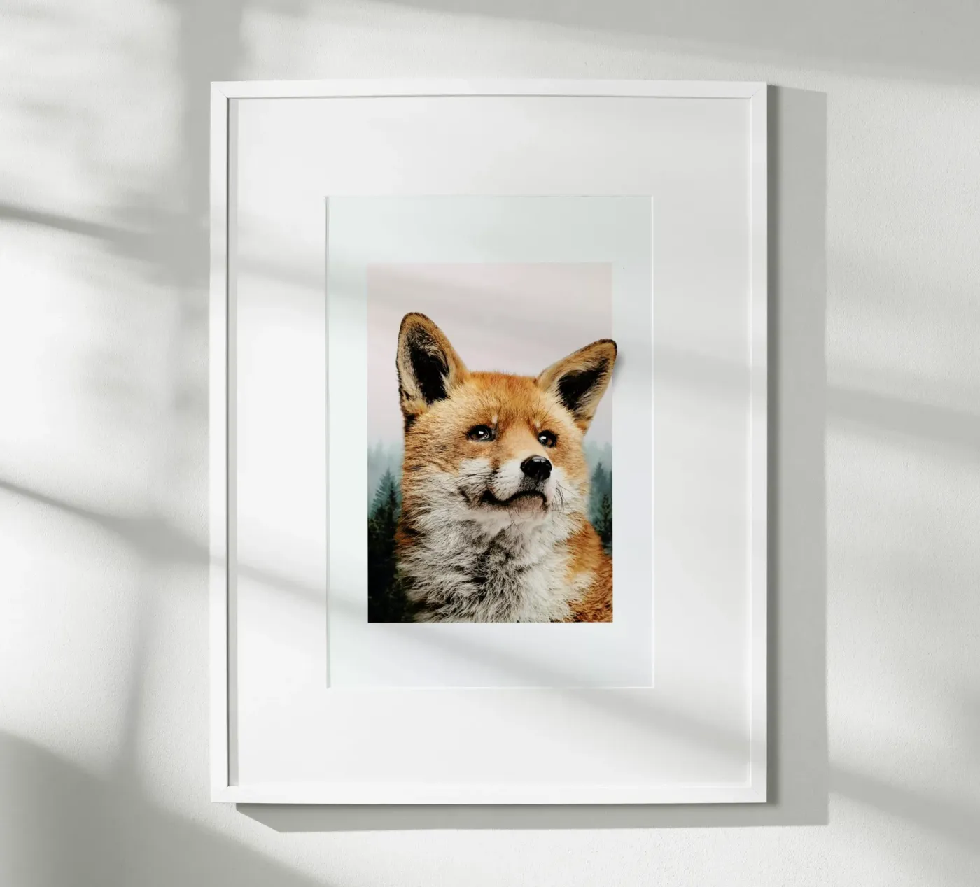 FOX poster da JONAS LOOSE KIDS