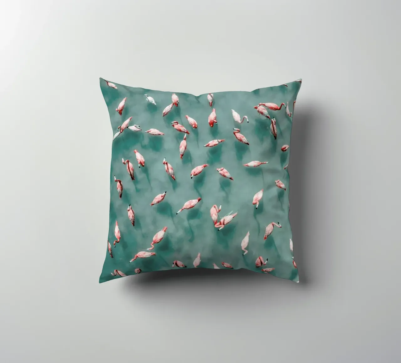 Flamingo cuscino da ROBERTO H