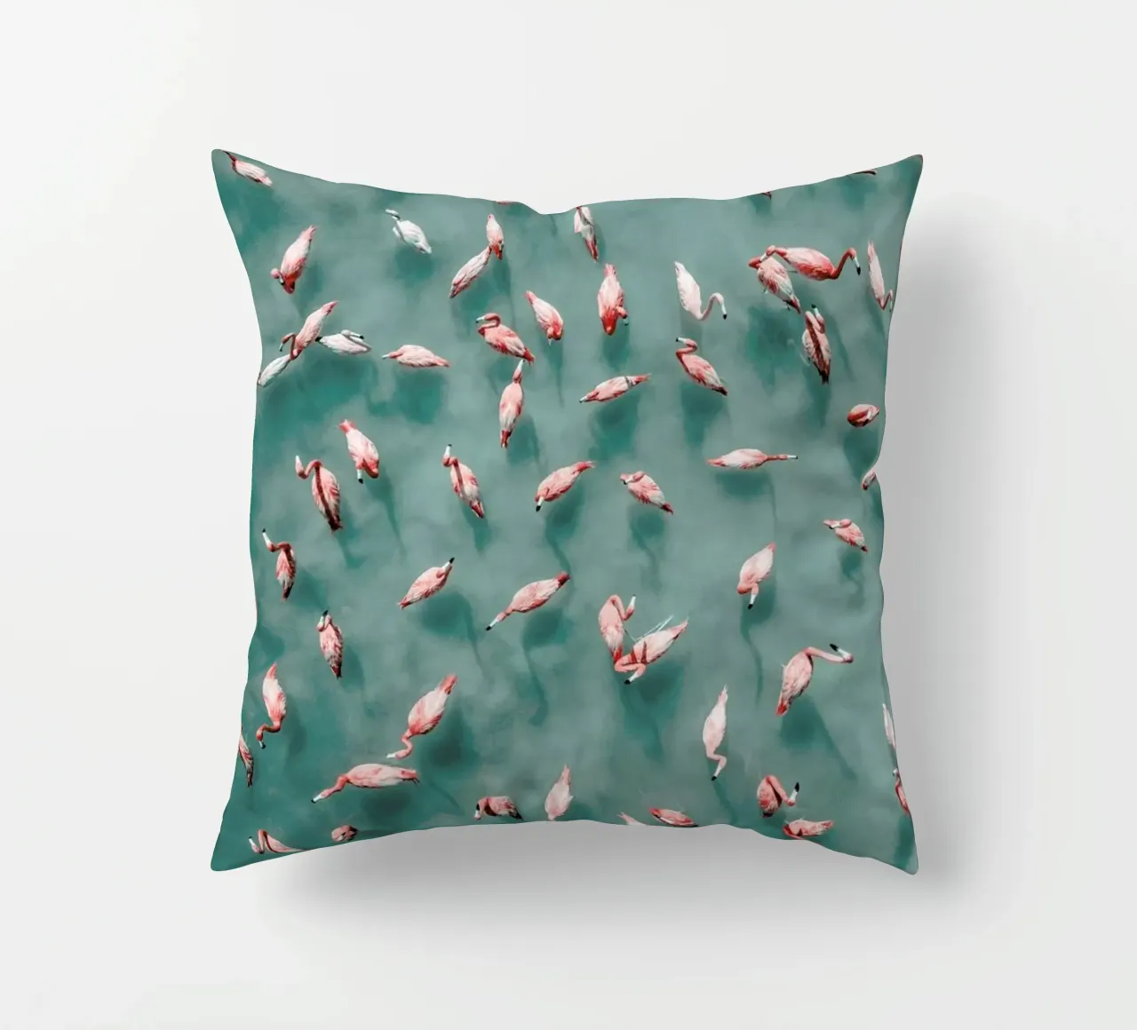 Flamingo cuscino da ROBERTO H