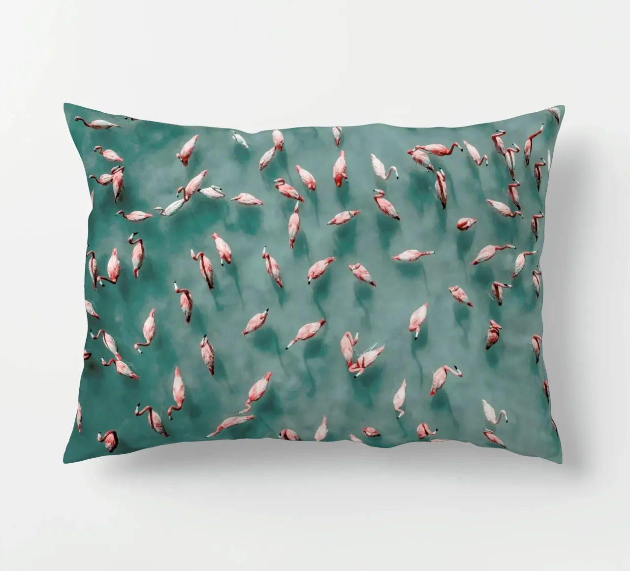 Flamingo cuscino da ROBERTO H