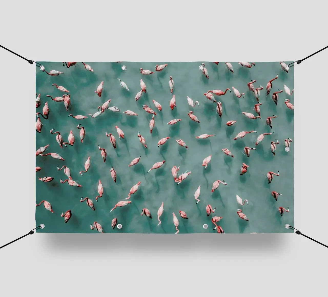 Flamingo telo in pvc da ROBERTO H
