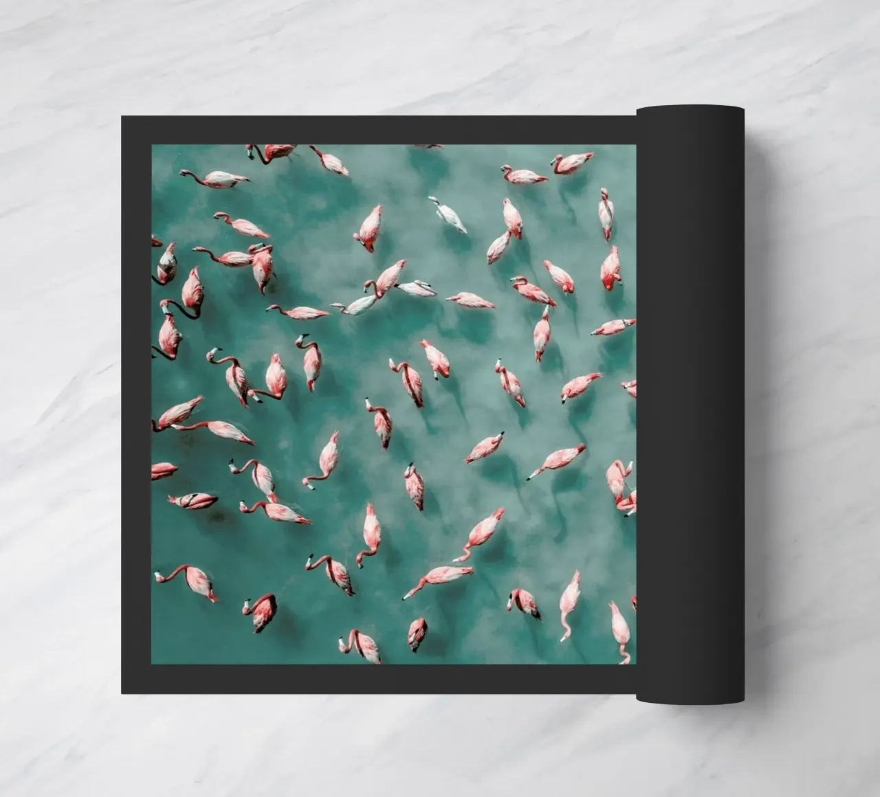 Flamingo zerbino da ROBERTO H