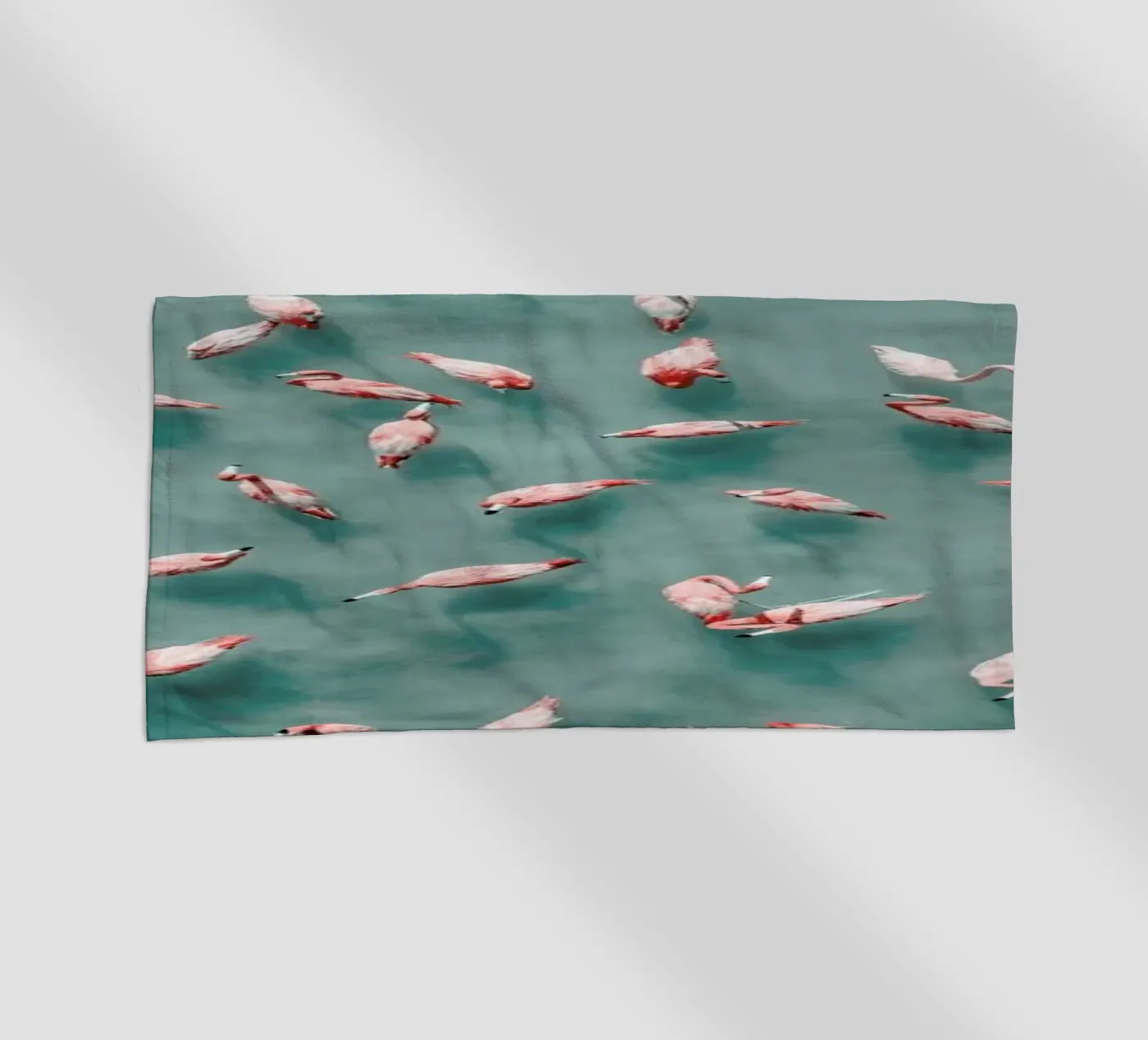 Flamingo telo mare da ROBERTO H