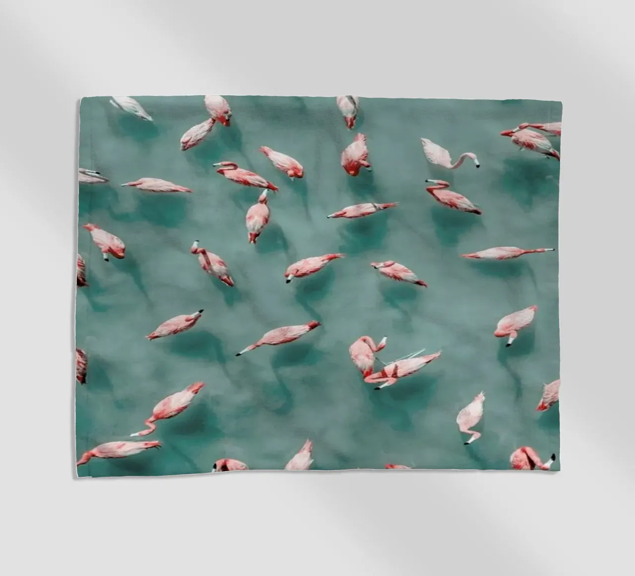 Flamingo telo mare da ROBERTO H