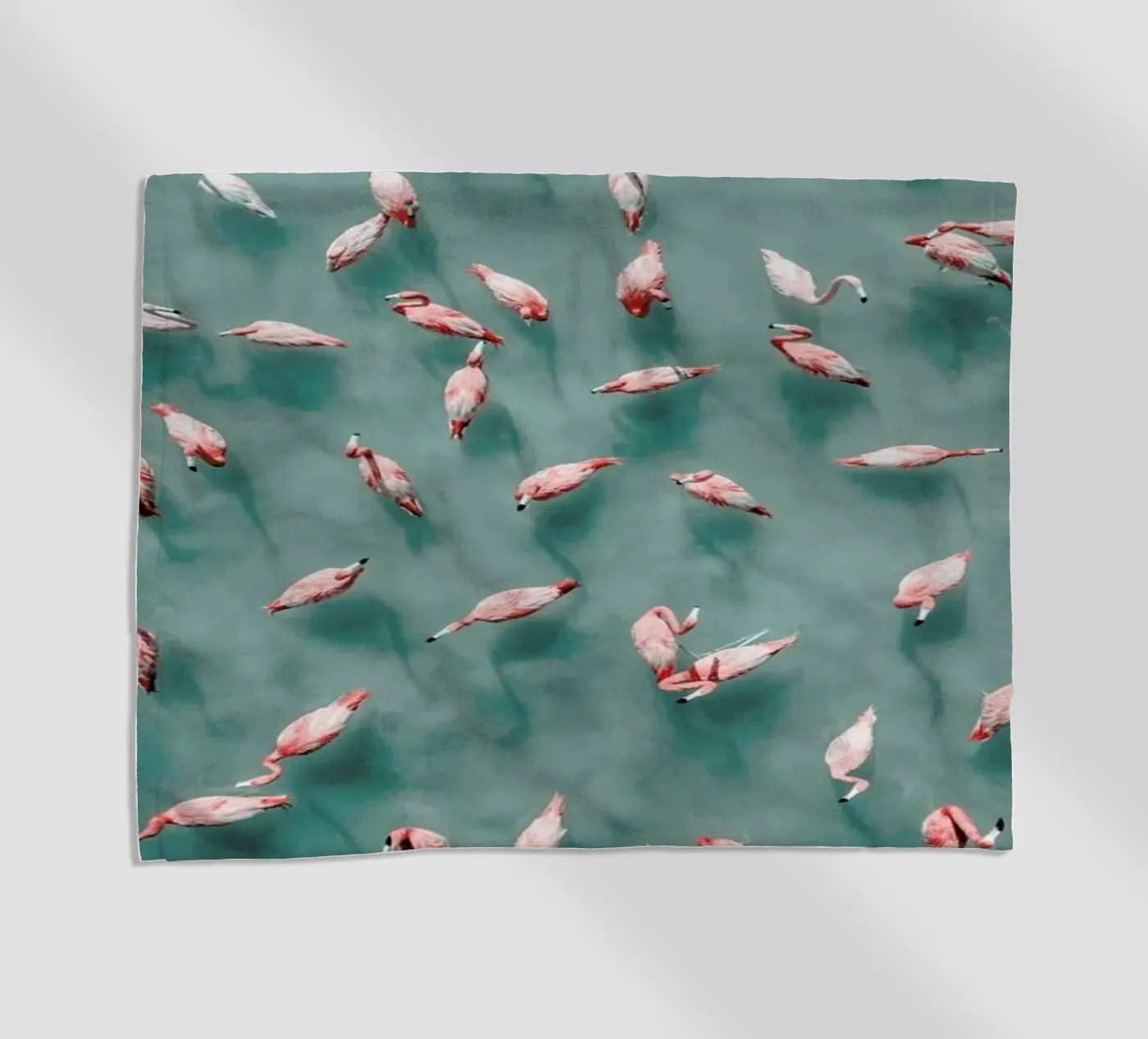 Flamingo telo mare da ROBERTO H