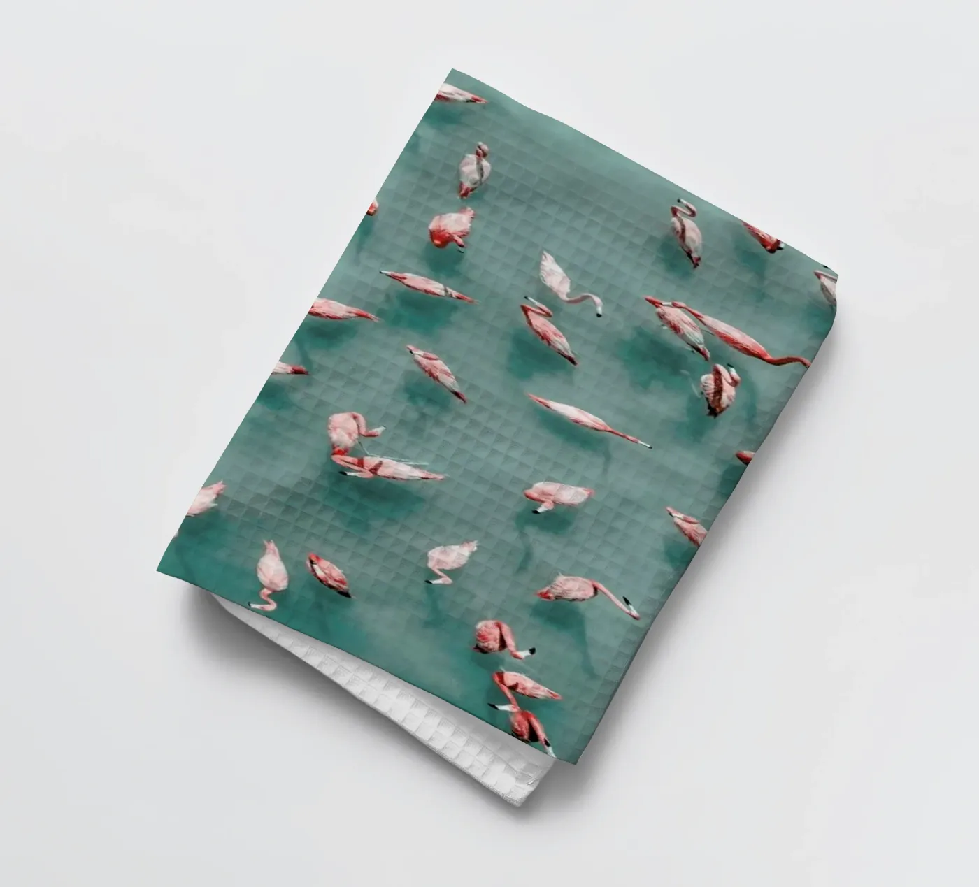 Flamingo torchon de ROBERTO H