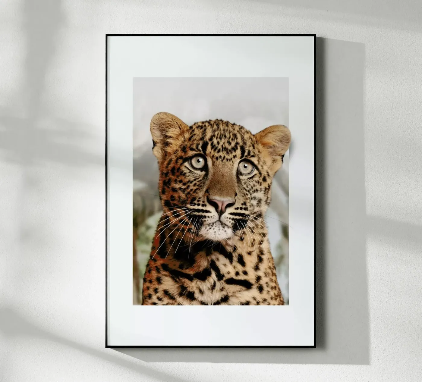 LEOPARD CUB plexiglas de JONAS LOOSE KIDS