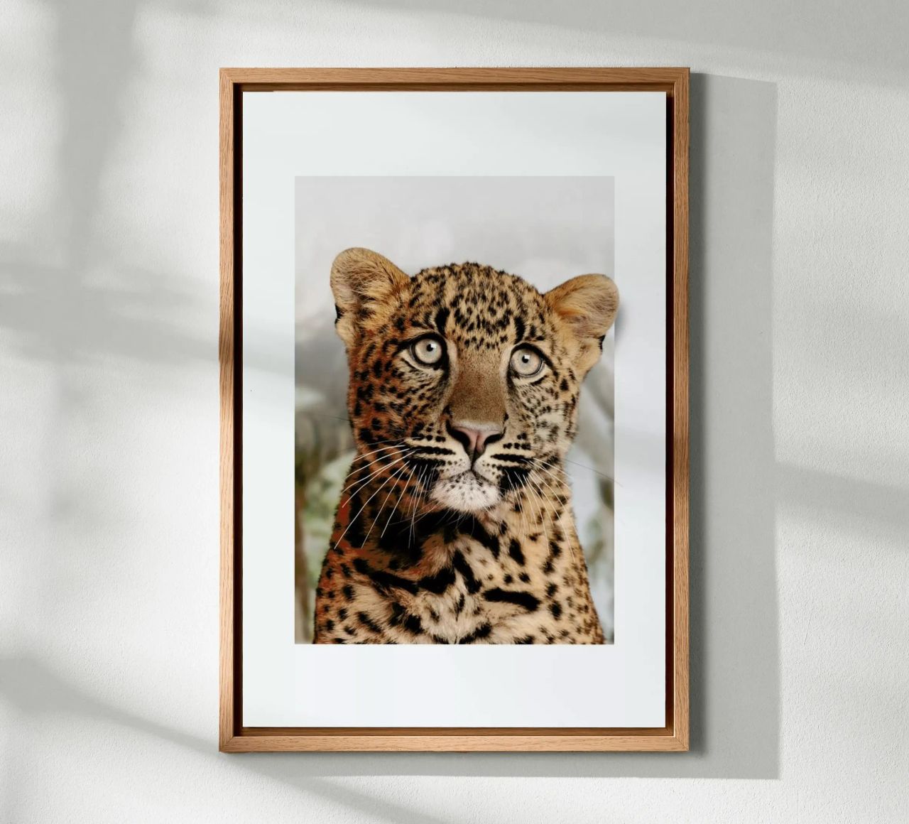 LEOPARD CUB alluminio dibond da JONAS LOOSE KIDS